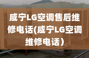 咸宁LG空调售后维修电话(咸宁LG空调维修电话）