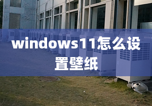 windows11怎么设置壁纸